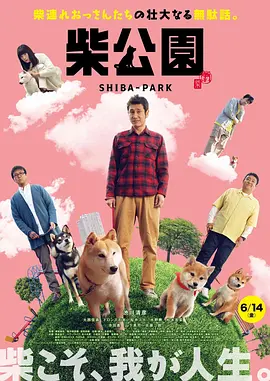 在线国产你懂的