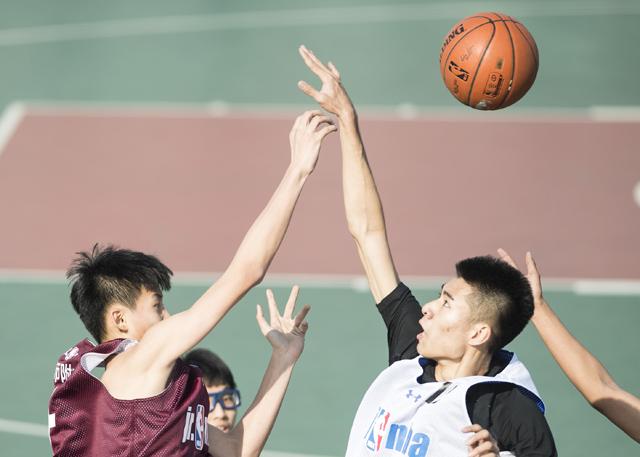 婷婷免费高清视频在线观看