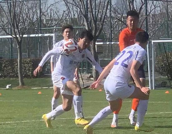 8x8x视频免费在线观看