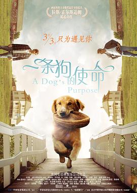 十八模1.1.3