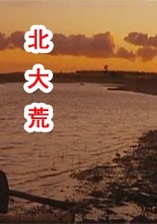 在线观看写真视频福利