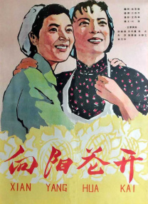 久久小视频