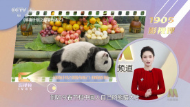 在线视频这里只有精品